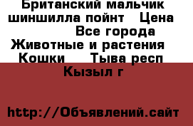 Британский мальчик шиншилла-пойнт › Цена ­ 5 000 - Все города Животные и растения » Кошки   . Тыва респ.,Кызыл г.